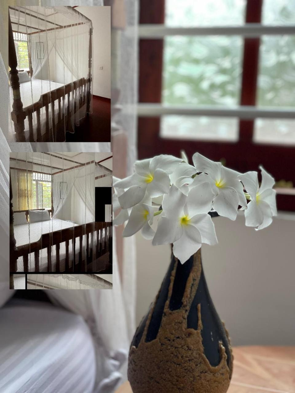 Wasana Ocean View Villa Mirissa Bagian luar foto