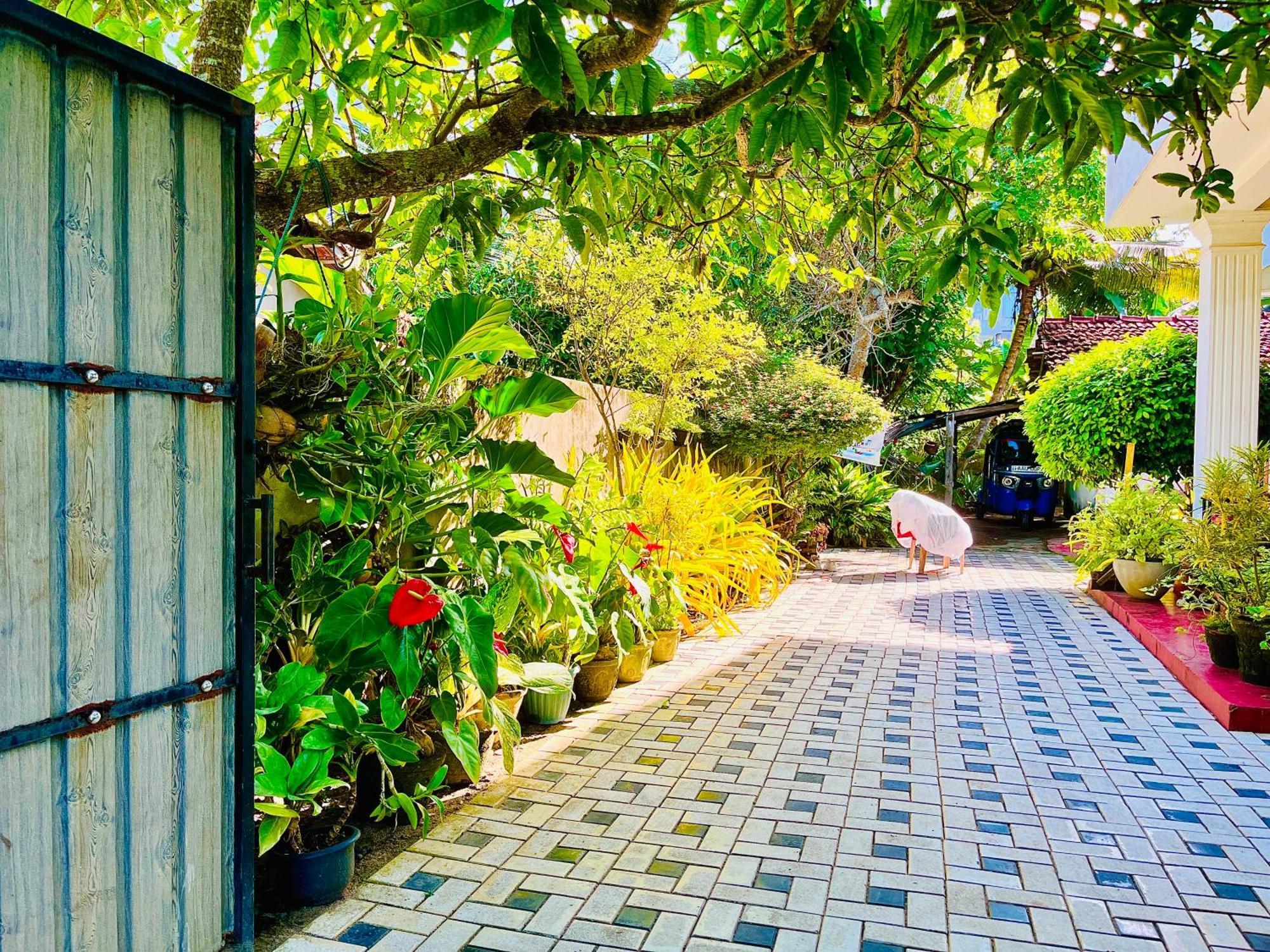 Wasana Ocean View Villa Mirissa Bagian luar foto